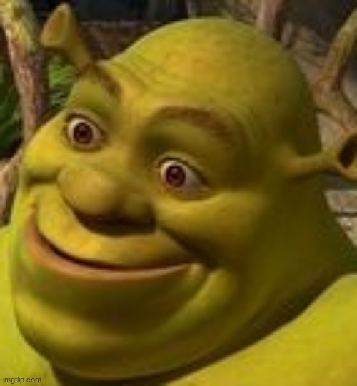 Shrek Face | image tagged in shrek face | made w/ Imgflip meme maker