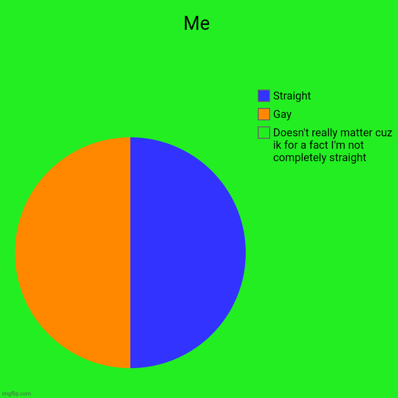 Yes | Me | Doesn't really matter cuz ik for a fact I'm not completely straight, Gay, Straight | image tagged in charts,pie charts,bisexual,lgbtq,pride | made w/ Imgflip chart maker