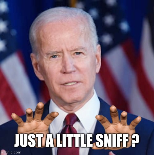 Creepy Joe Biden | JUST A LITTLE SNIFF ? | image tagged in creepy joe biden | made w/ Imgflip meme maker