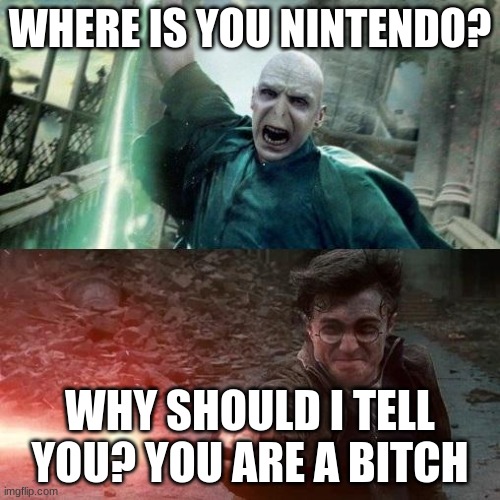 Harry Potter meme | WHERE IS YOU NINTENDO? WHY SHOULD I TELL YOU? YOU ARE A BITCH | image tagged in harry potter meme | made w/ Imgflip meme maker
