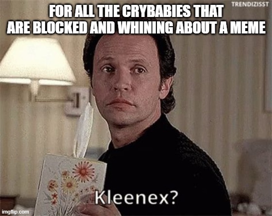 Billy Crystal | FOR ALL THE CRYBABIES THAT ARE BLOCKED AND WHINING ABOUT A MEME | image tagged in billy crystal | made w/ Imgflip meme maker