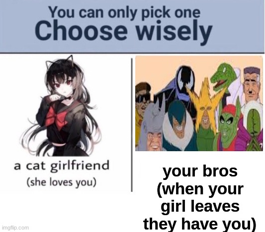 Choose wisely |  your bros
(when your girl leaves they have you) | image tagged in choose wisely | made w/ Imgflip meme maker