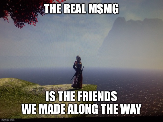 Basic storyline | THE REAL MSMG; IS THE FRIENDS WE MADE ALONG THE WAY | image tagged in maybe the real treasure | made w/ Imgflip meme maker