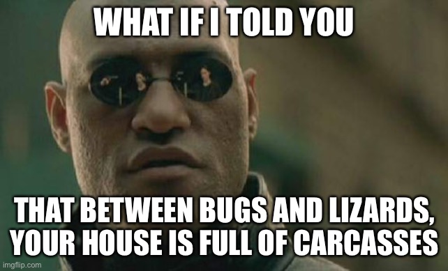 death | WHAT IF I TOLD YOU; THAT BETWEEN BUGS AND LIZARDS, YOUR HOUSE IS FULL OF CARCASSES | image tagged in memes,matrix morpheus,death,dark humor,carcass | made w/ Imgflip meme maker