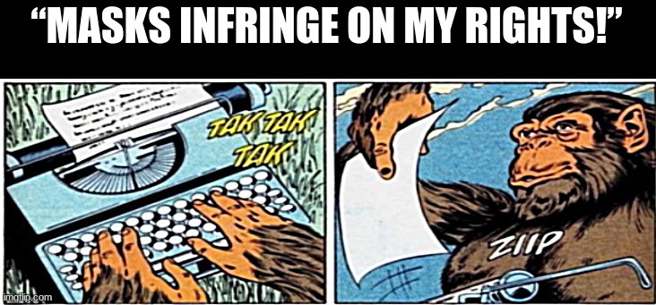 Sure... | “MASKS INFRINGE ON MY RIGHTS!” | image tagged in stupid monke | made w/ Imgflip meme maker