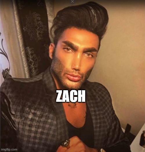 discord mods | ZACH | image tagged in discord mods | made w/ Imgflip meme maker