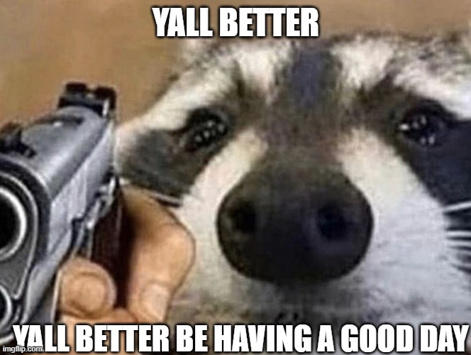 yall better | YALL BETTER; YALL BETTER BE HAVING A GOOD DAY | image tagged in wholesome coon with gun | made w/ Imgflip meme maker