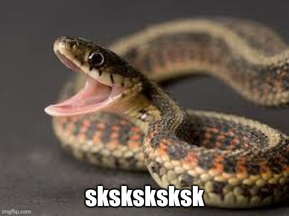 Warning Snake | sksksksksk | image tagged in warning snake | made w/ Imgflip meme maker