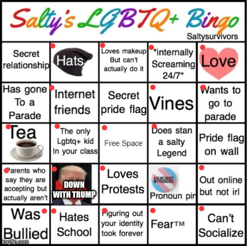 The Pride Bingo | DOWN WITH TRUMP | image tagged in the pride bingo | made w/ Imgflip meme maker