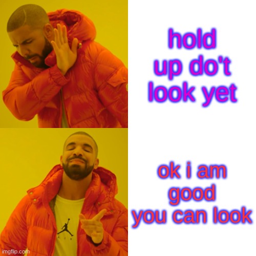 don't look | hold up do't look yet; ok i am good you can look | image tagged in memes,drake hotline bling | made w/ Imgflip meme maker