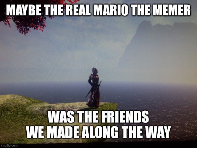 Spam basic storyline memes | MAYBE THE REAL MARIO THE MEMER; WAS THE FRIENDS WE MADE ALONG THE WAY | image tagged in maybe the real treasure | made w/ Imgflip meme maker