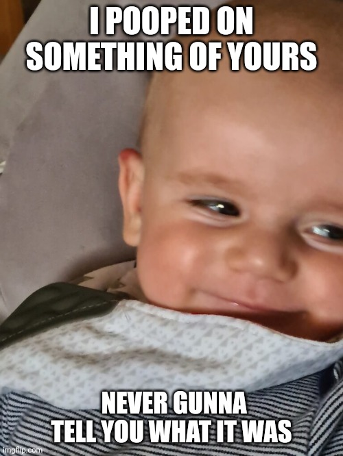 Poo on you | I POOPED ON SOMETHING OF YOURS; NEVER GUNNA TELL YOU WHAT IT WAS | image tagged in memes,poop,pooping,cute baby,never gonna give you up,girls poop too | made w/ Imgflip meme maker