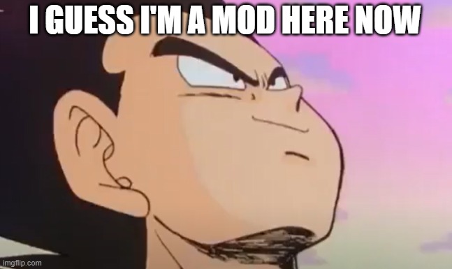 Vegeta Proudly Smiling | I GUESS I'M A MOD HERE NOW | image tagged in vegeta proudly smiling | made w/ Imgflip meme maker