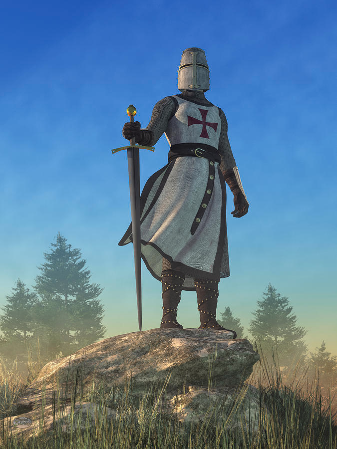 crusader stand Blank Meme Template