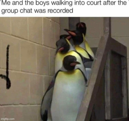 me and the boys | image tagged in court,me and the boys,the boys,gaming,memes,funny | made w/ Imgflip meme maker