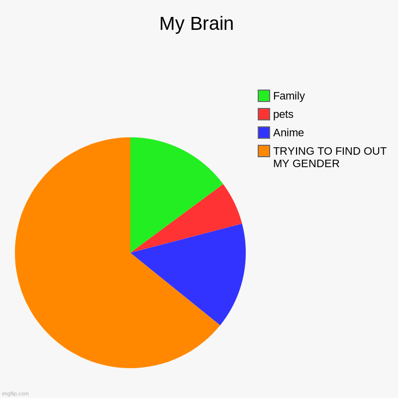 :'} | My Brain | TRYING TO FIND OUT MY GENDER, Anime, pets, Family | image tagged in charts,pie charts,family,anime,pets,no gender | made w/ Imgflip chart maker
