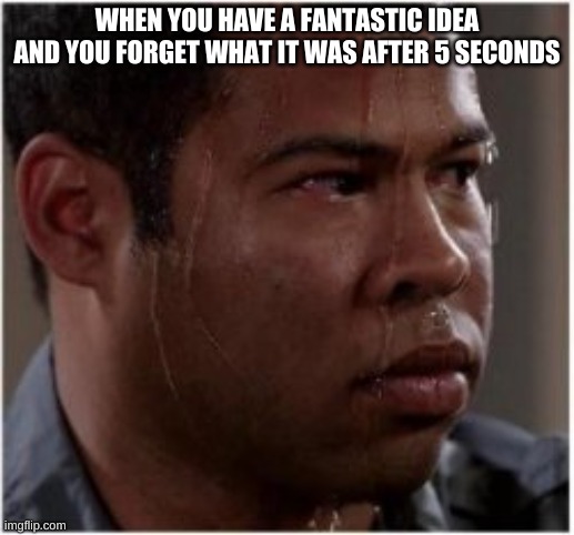 This is definetly everyone. Right? | WHEN YOU HAVE A FANTASTIC IDEA AND YOU FORGET WHAT IT WAS AFTER 5 SECONDS | image tagged in the fantastic idea person | made w/ Imgflip meme maker