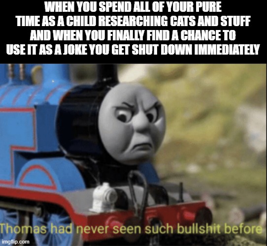 Thomas has never seen such bs before | WHEN YOU SPEND ALL OF YOUR PURE TIME AS A CHILD RESEARCHING CATS AND STUFF AND WHEN YOU FINALLY FIND A CHANCE TO USE IT AS A JOKE YOU GET SH | image tagged in thomas has never seen such bs before | made w/ Imgflip meme maker