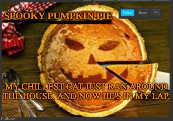 spooky pumpkin pie | MY CHILLEST CAT JUST RAN AROUND THE HOUSE, AND NOW HE'S IN MY LAP. | image tagged in spooky pumpkin pie | made w/ Imgflip meme maker