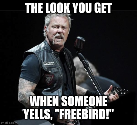 James Hetfield confused | THE LOOK YOU GET; WHEN SOMEONE YELLS, "FREEBIRD!" | image tagged in metallica,funny memes | made w/ Imgflip meme maker