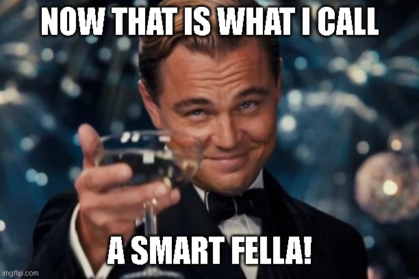 Leonardo Dicaprio Cheers Meme | NOW THAT IS WHAT I CALL A SMART FELLA! | image tagged in memes,leonardo dicaprio cheers | made w/ Imgflip meme maker