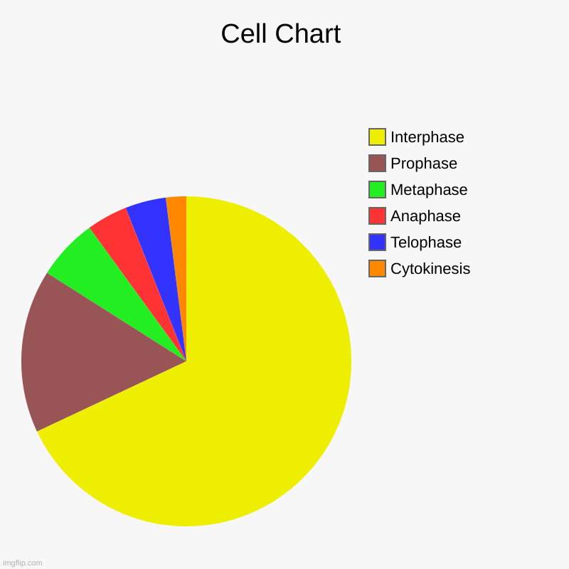 bombard me with those negative comments ( I have sinned for using img.flip for school) | Cell Chart | Cytokinesis , Telophase, Anaphase, Metaphase, Prophase, Interphase | image tagged in charts,pie charts,shame,school sucks | made w/ Imgflip chart maker