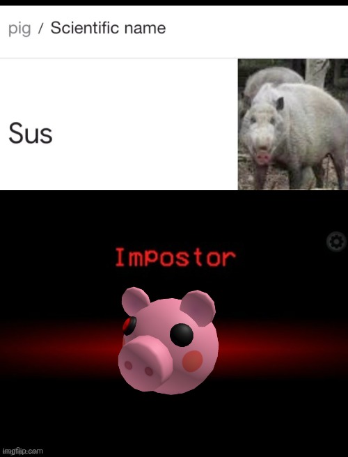 When the bacon is sus | image tagged in scientific name for pig,imposter,sus,among us,piggy | made w/ Imgflip meme maker