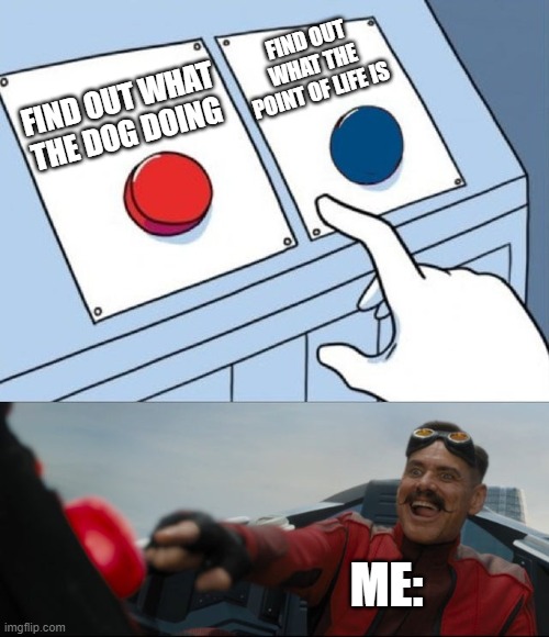 Which one do you choose? | FIND OUT WHAT THE POINT OF LIFE IS; FIND OUT WHAT THE DOG DOING; ME: | image tagged in robotnik button,what the dog doing,what the point of life | made w/ Imgflip meme maker