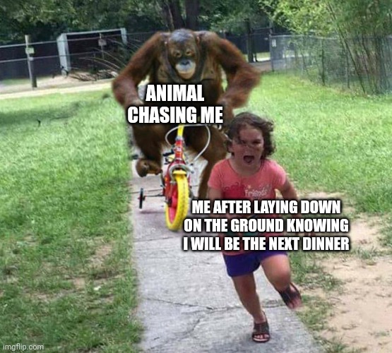 Animal chasing | ANIMAL CHASING ME; ME AFTER LAYING DOWN ON THE GROUND KNOWING I WILL BE THE NEXT DINNER | image tagged in run,memes,meme,animals,animal,chase | made w/ Imgflip meme maker