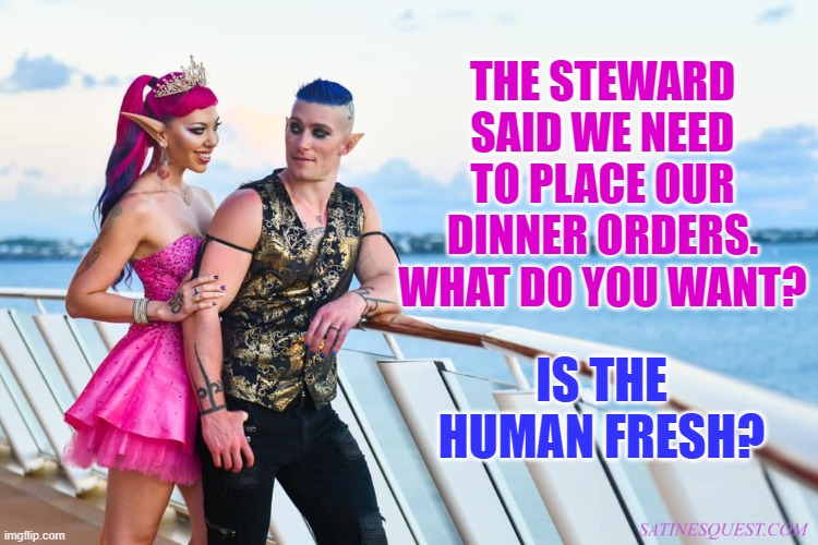 Satine & Jamison - Is the human fresh? | THE STEWARD SAID WE NEED TO PLACE OUR DINNER ORDERS. WHAT DO YOU WANT? IS THE HUMAN FRESH? | image tagged in satine jamison,memes,mad fae,satine phoenix,satine's quest | made w/ Imgflip meme maker