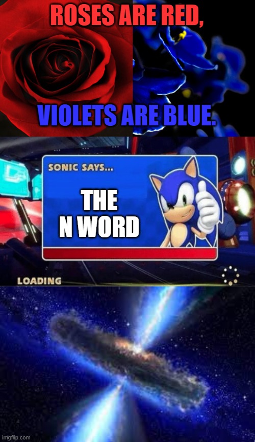 lol |  ROSES ARE RED, VIOLETS ARE BLUE. THE N WORD | image tagged in roses are red violets are blue,sonic says,cosmic explosion | made w/ Imgflip meme maker