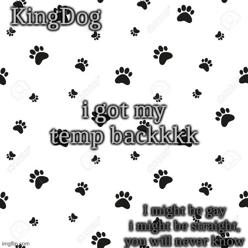 yessss | i got my temp backkkk | image tagged in kingdog | made w/ Imgflip meme maker