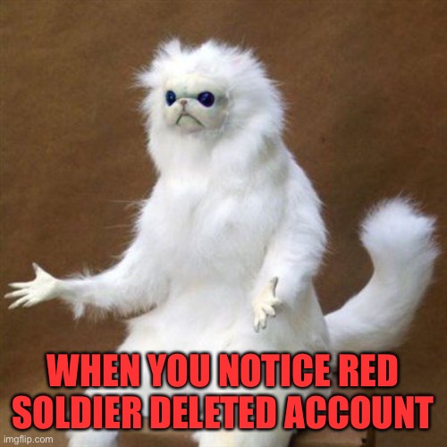 Cat poof | WHEN YOU NOTICE RED SOLDIER DELETED ACCOUNT | image tagged in cat poof | made w/ Imgflip meme maker