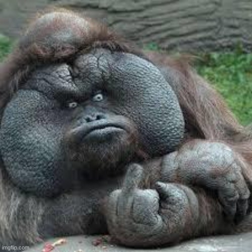 idk | image tagged in e | made w/ Imgflip meme maker