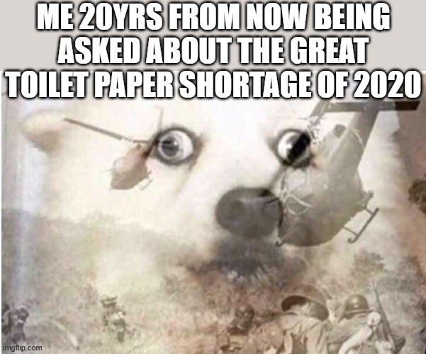 PTSD Triggered | image tagged in ptsd,covid 19,toilet paper | made w/ Imgflip meme maker