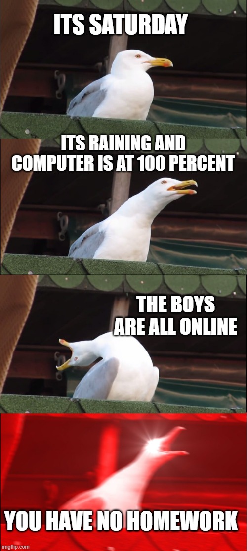 the weekend | ITS SATURDAY; ITS RAINING AND COMPUTER IS AT 100 PERCENT; THE BOYS ARE ALL ONLINE; YOU HAVE NO HOMEWORK | image tagged in memes,inhaling seagull | made w/ Imgflip meme maker