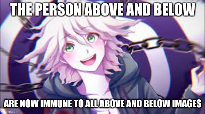 THE PERSON ABOVE AND BELOW; ARE NOW IMMUNE TO ALL ABOVE AND BELOW IMAGES | image tagged in i'm going insane | made w/ Imgflip meme maker