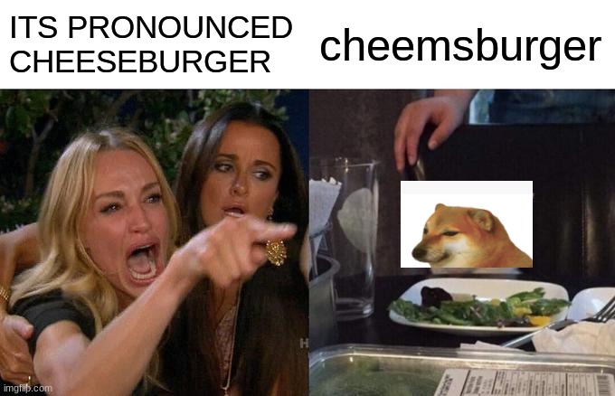 Woman Yelling At Cat | ITS PRONOUNCED CHEESEBURGER; cheemsburger | image tagged in memes,woman yelling at cat | made w/ Imgflip meme maker