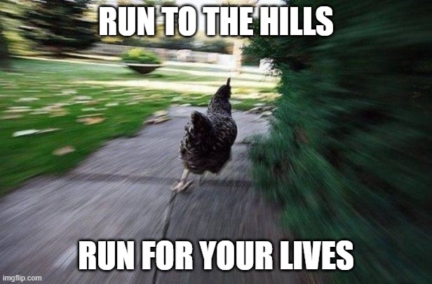 Bruce Chickinson |  RUN TO THE HILLS; RUN FOR YOUR LIVES | image tagged in chicken,iron maiden,bruce dickinson | made w/ Imgflip meme maker