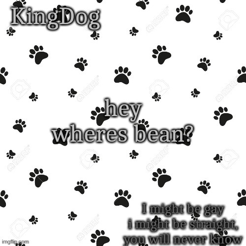 KingDog | hey wheres bean? | image tagged in kingdog | made w/ Imgflip meme maker