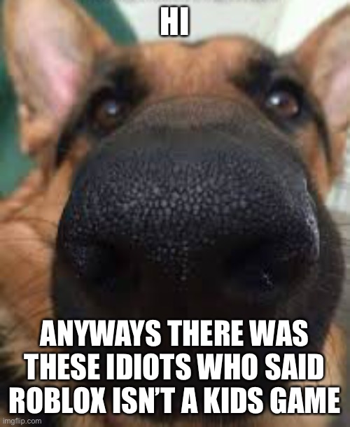 German shepherd but funni | HI; ANYWAYS THERE WAS THESE IDIOTS WHO SAID ROBLOX ISN’T A KIDS GAME | image tagged in german shepherd but funni | made w/ Imgflip meme maker