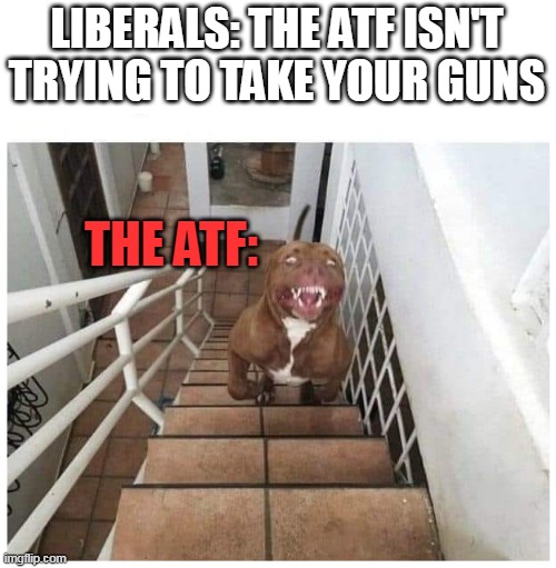 Dog mean | LIBERALS: THE ATF ISN'T TRYING TO TAKE YOUR GUNS; THE ATF: | image tagged in mean dog,atf,guns | made w/ Imgflip meme maker