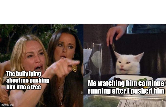 Bullies, am I right | The bully lying about me pushing him into a tree; Me watching him continue running after I pushed him | image tagged in memes,woman yelling at cat | made w/ Imgflip meme maker