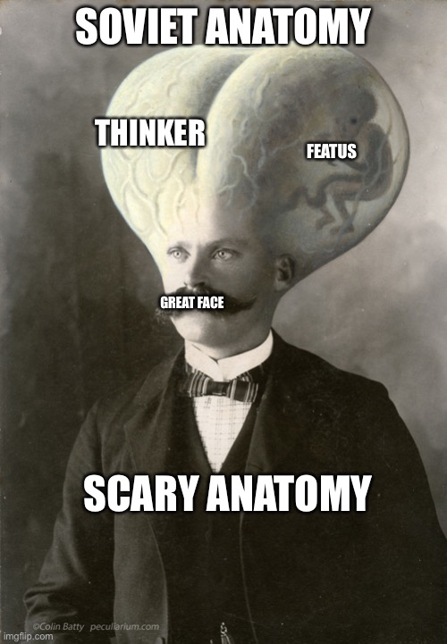 tds | SOVIET ANATOMY; THINKER; FEATUS; GREAT FACE; SCARY ANATOMY | image tagged in tds | made w/ Imgflip meme maker