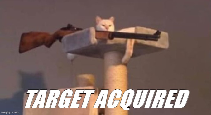 TARGET ACQUIRED | made w/ Imgflip meme maker