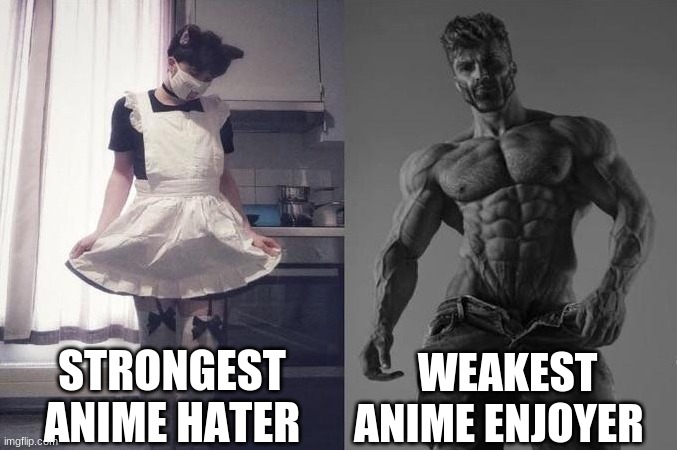 Anime good | STRONGEST ANIME HATER; WEAKEST ANIME ENJOYER | image tagged in strongest fan vs weakest fan | made w/ Imgflip meme maker