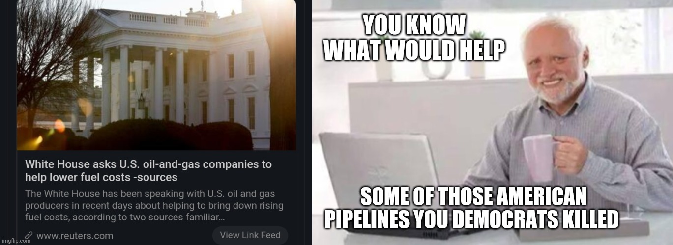 Biden regime is pathetic | YOU KNOW WHAT WOULD HELP; SOME OF THOSE AMERICAN PIPELINES YOU DEMOCRATS KILLED | image tagged in harold,democrats,democrat,morons,joe biden,biden | made w/ Imgflip meme maker