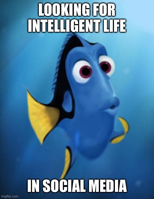 No sign of life | LOOKING FOR INTELLIGENT LIFE; IN SOCIAL MEDIA | image tagged in dory,intelligent dog,life,social media,facebook,twitter | made w/ Imgflip meme maker