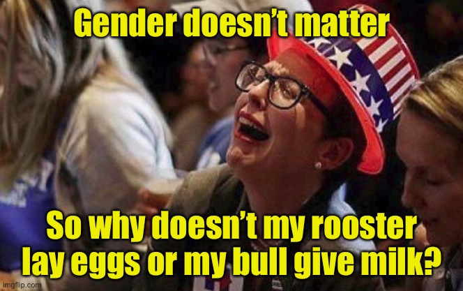 Crying Liberal | Gender doesn’t matter; So why doesn’t my rooster lay eggs or my bull give milk? | image tagged in crying liberal,gender identity | made w/ Imgflip meme maker