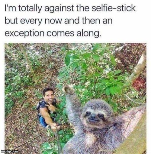 . | image tagged in sloth,rmk | made w/ Imgflip meme maker